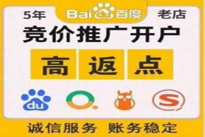 成功SEM推广代运营案例展示
